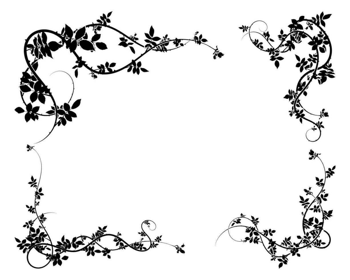 expensive Victorian frame climbing plants roses. 34762148 Vector Art at