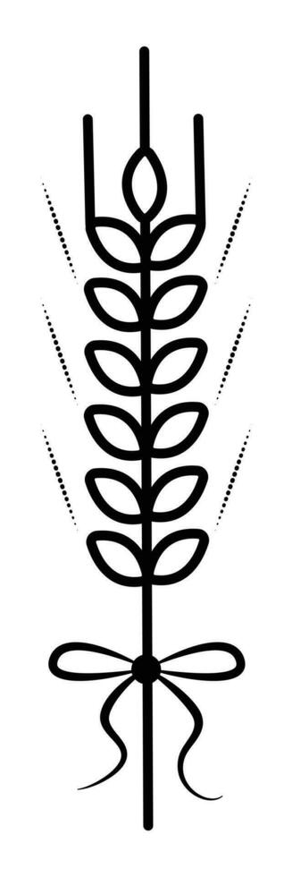 Single wheat spikelet with a bow, magical vector black line illustration