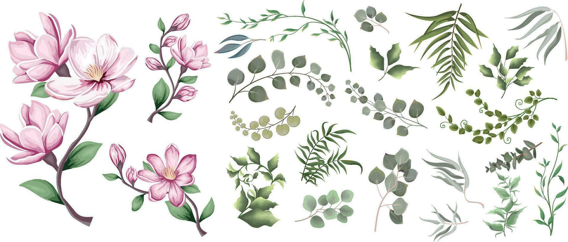 Mix of herbs and plants vector big collection. Green plants and leaves. All elements are isolated. A branch of pink magnolia, sakura.