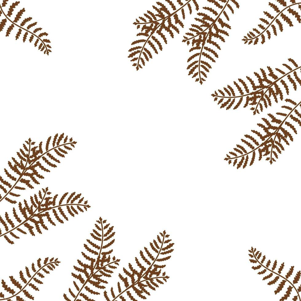 Frame with fern leaves for websites, cards and your other designs. Vector illustration isolated on white background.