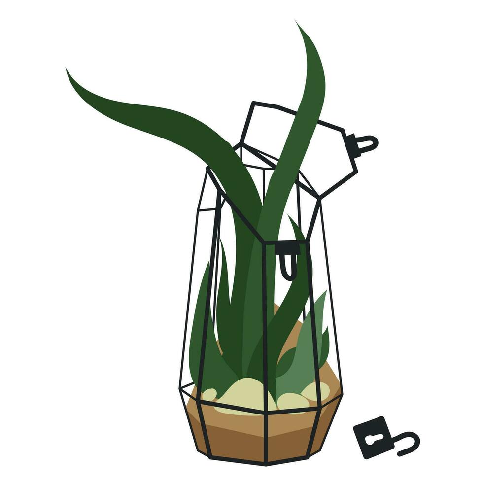 Vector illustration with a glass plant terrarium of a florarium highlighted on a white background. A flower in a geometric flower pot in a flat style. A plant in a cage with an open lock, a glass cage