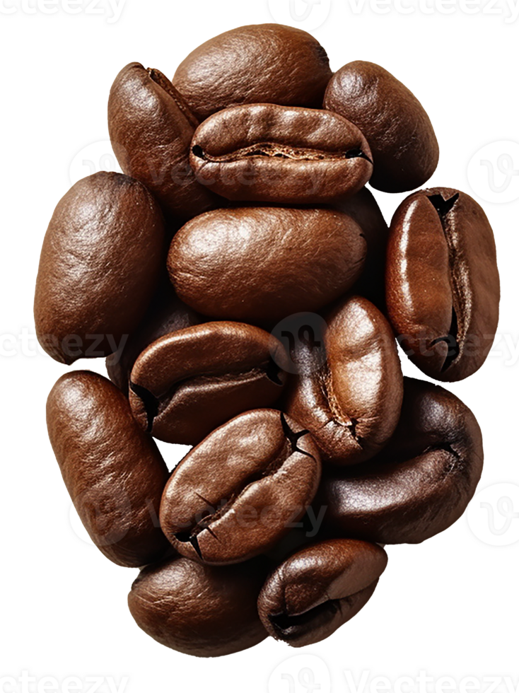 AI generated coffee bean isolated on transparent background png