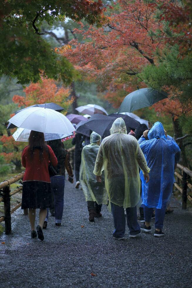 group of people walking in season change park against raining kyoto japan photo