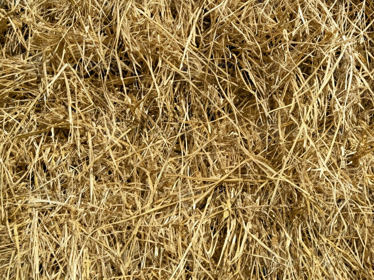 close up hay bale background texture photo