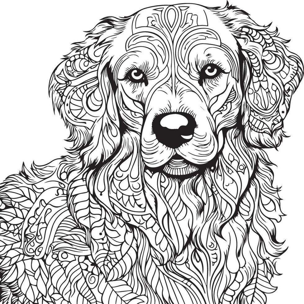 retriever body coloring page vector