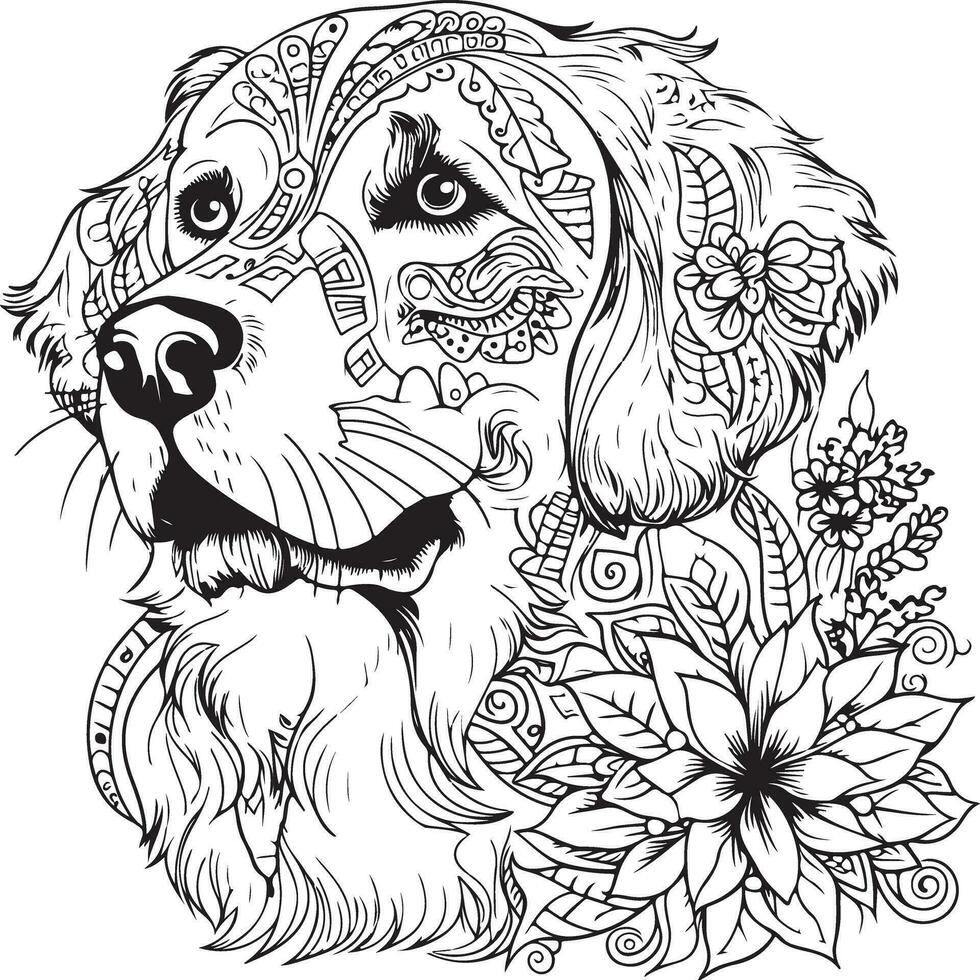 retriever body coloring page vector