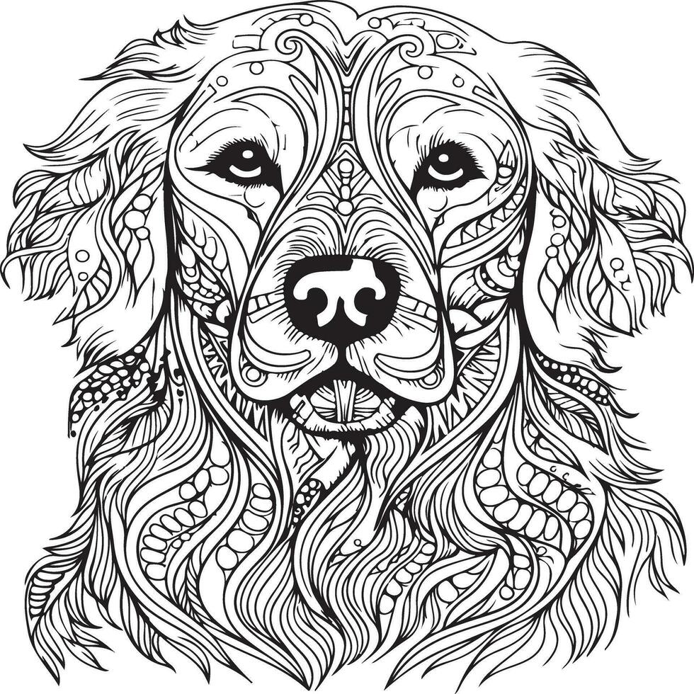 retriever body coloring page vector