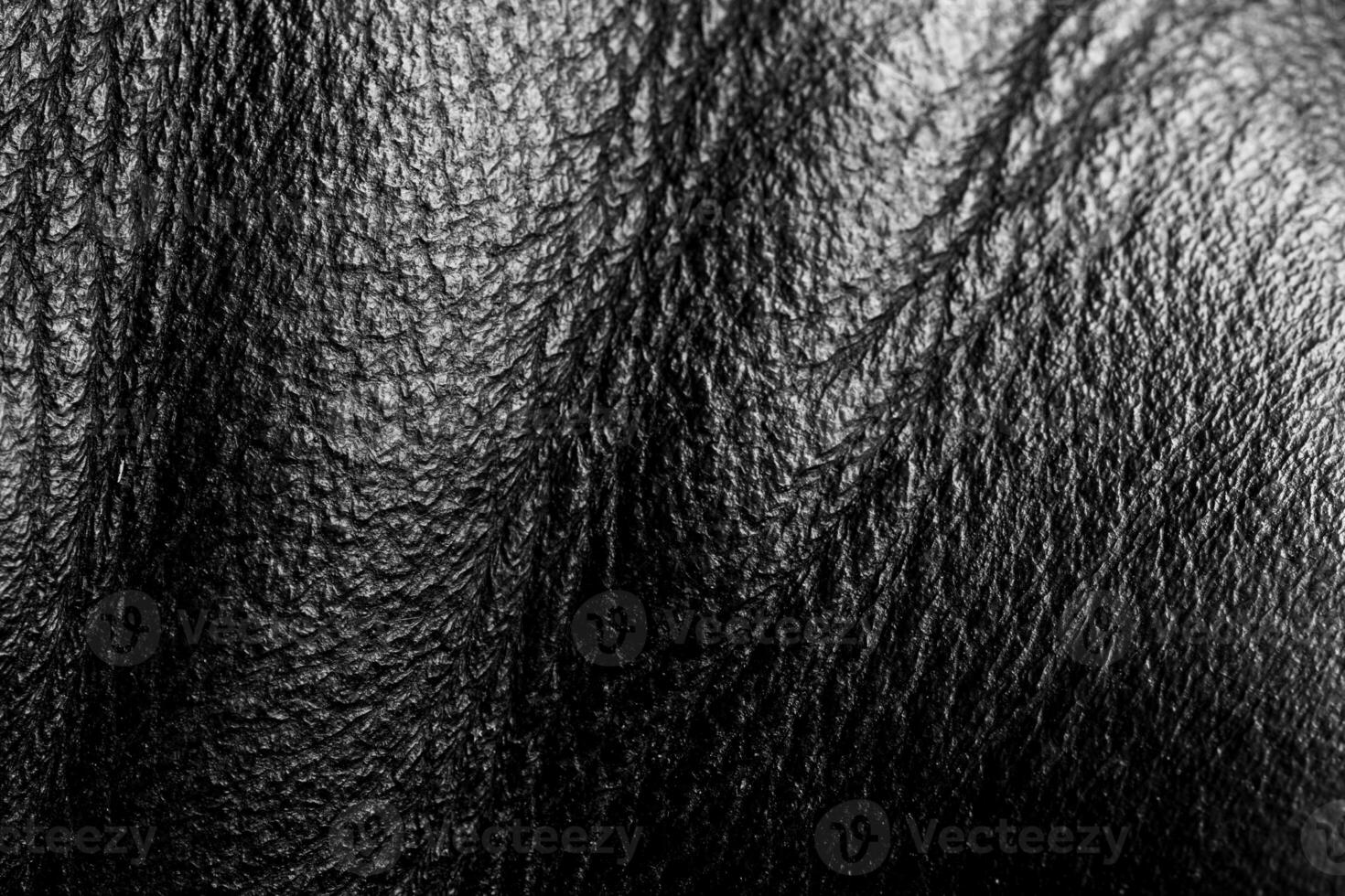 brillante natural real negro cuero con se flexiona oscuro olas antecedentes textura resumen cerca arriba, lujo negro vaca cuero textura antecedentes foto