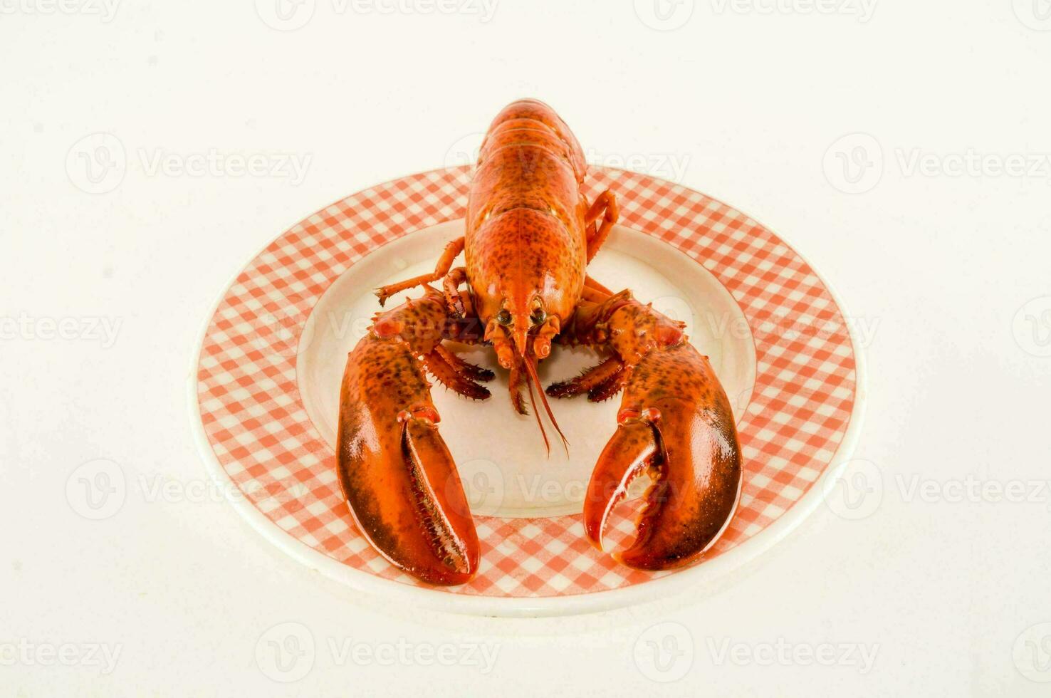 a lobster on a plate on a white background photo