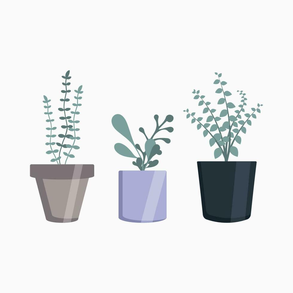 Set of potted indoor plants on a white background vector