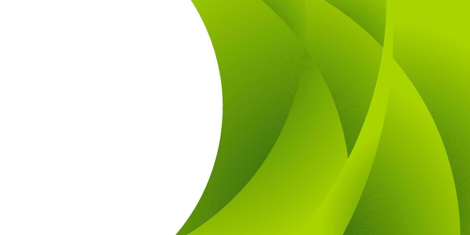 abstract green curve background for business vector