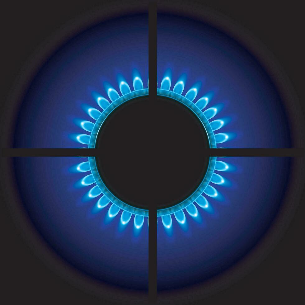 gas stove top view vector
