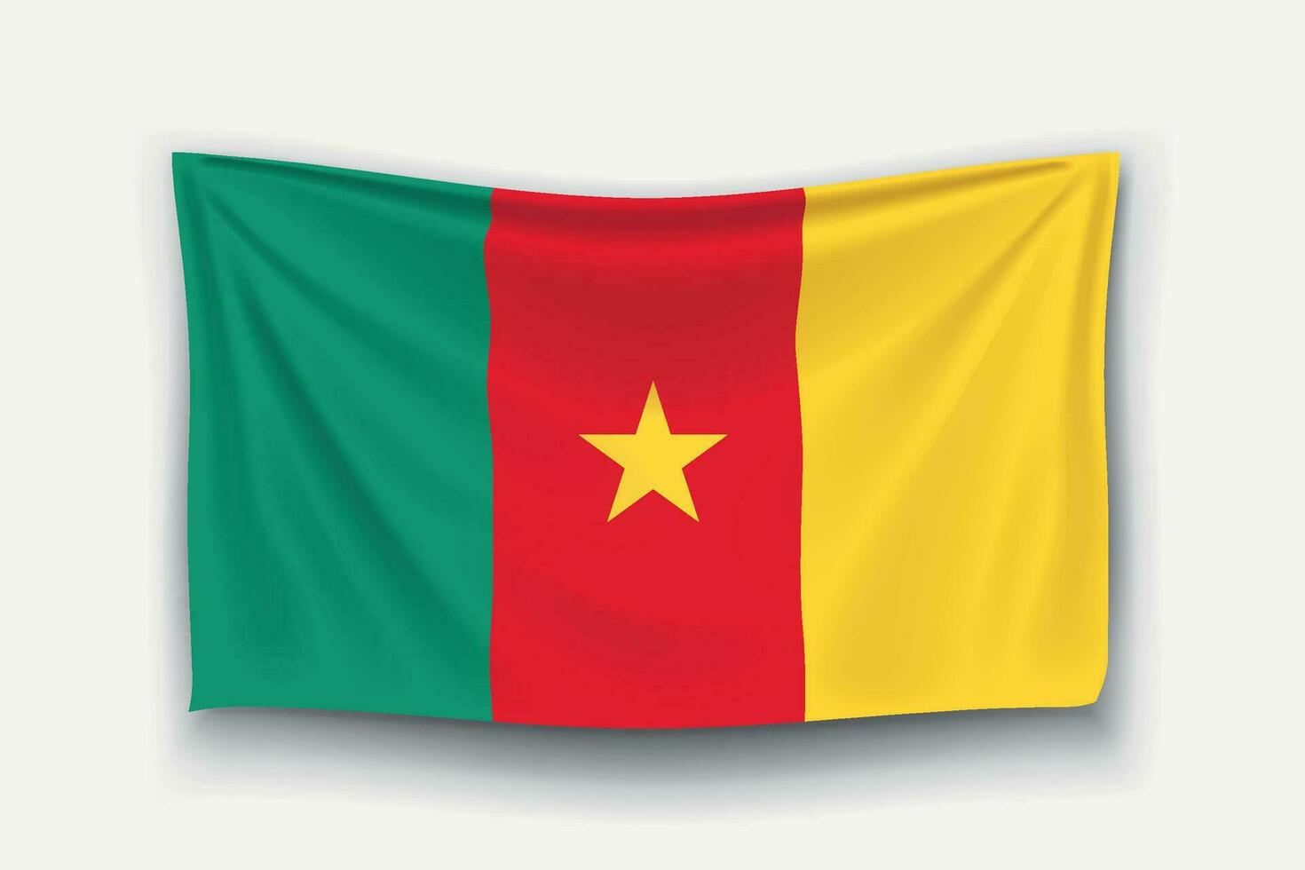 bandera de camerún vector