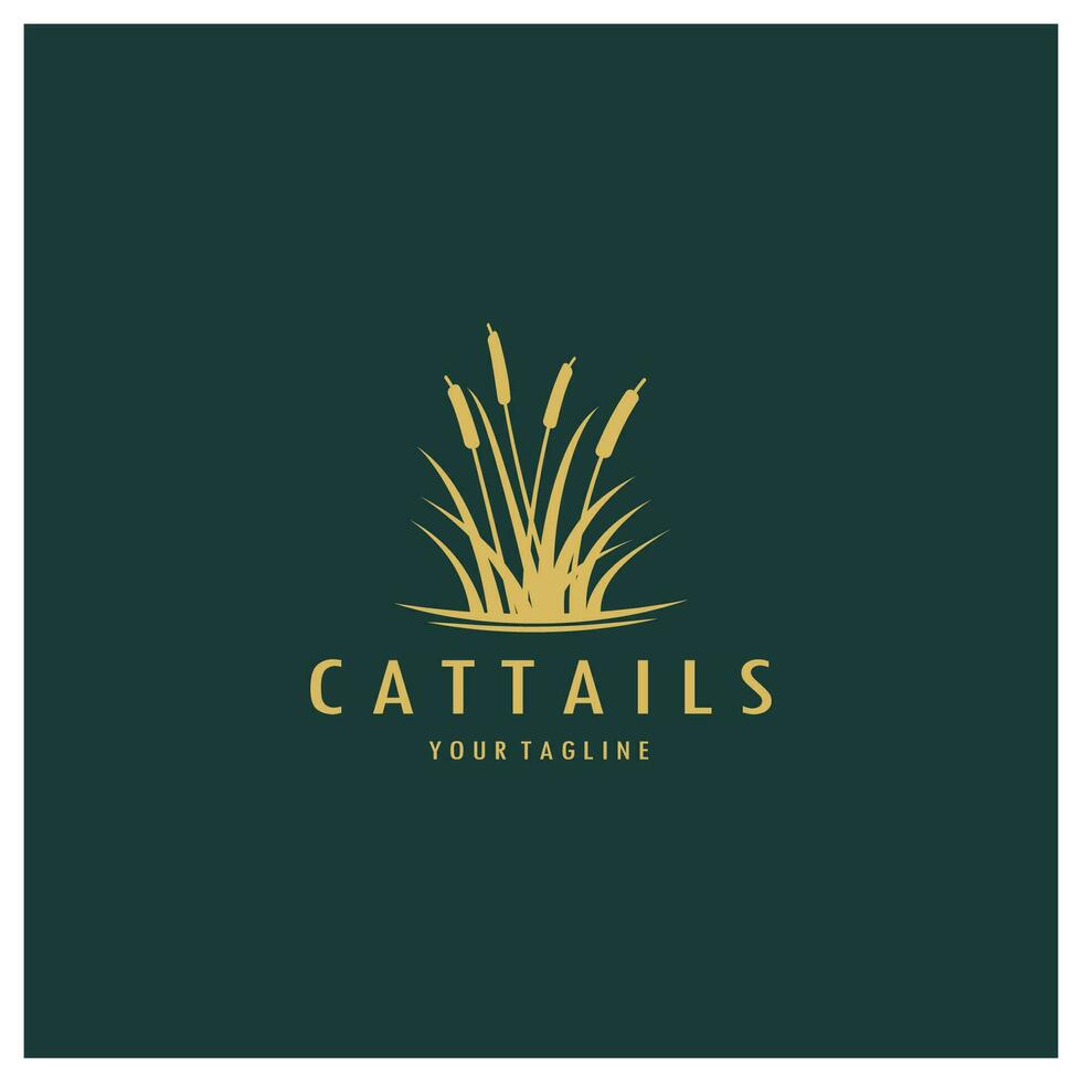 cattails or river reed grass plant logo design, aquatic plants, swamp, wild grass vector