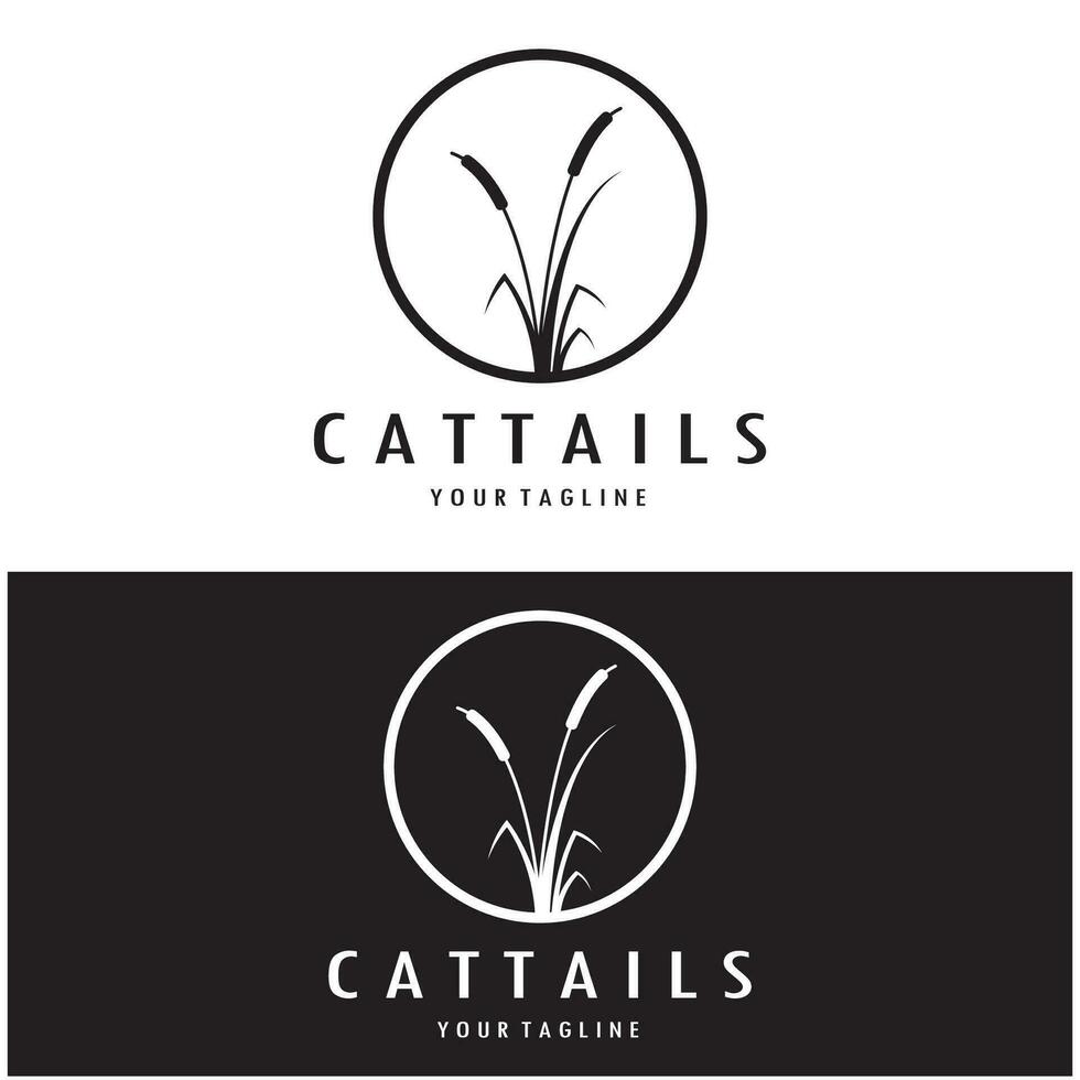 cattails or river reed grass plant logo design, aquatic plants, swamp, wild grass vector