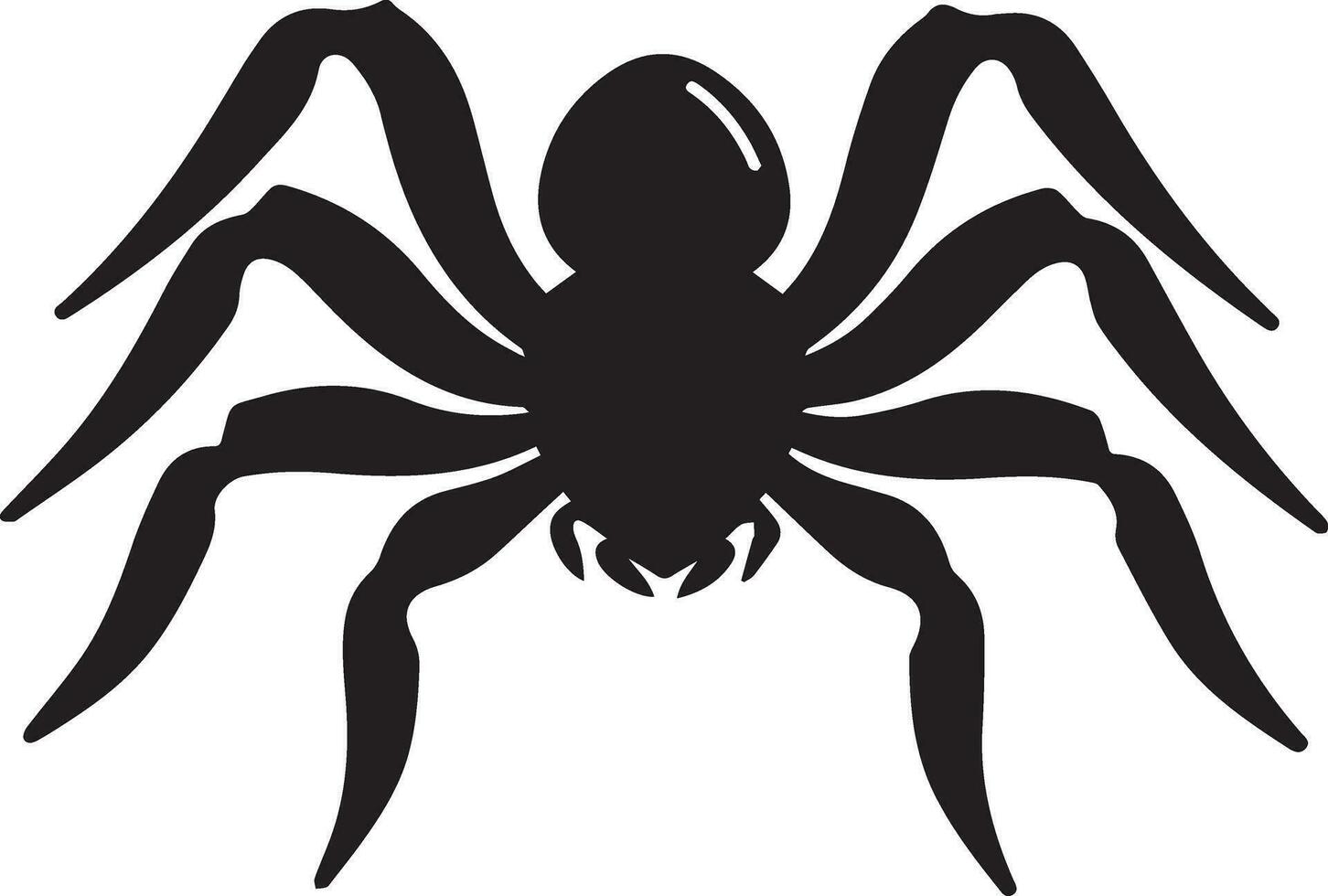 Spider vector silhouette illustration 3