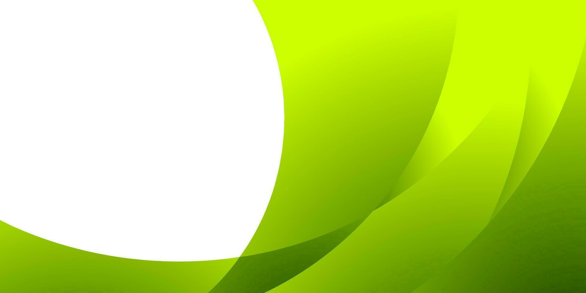 abstract green curve organic background for business vector