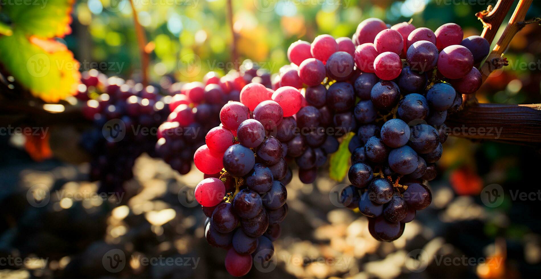 ai generado vino viñedo, de cerca uvas, futuro vino - ai generado imagen foto