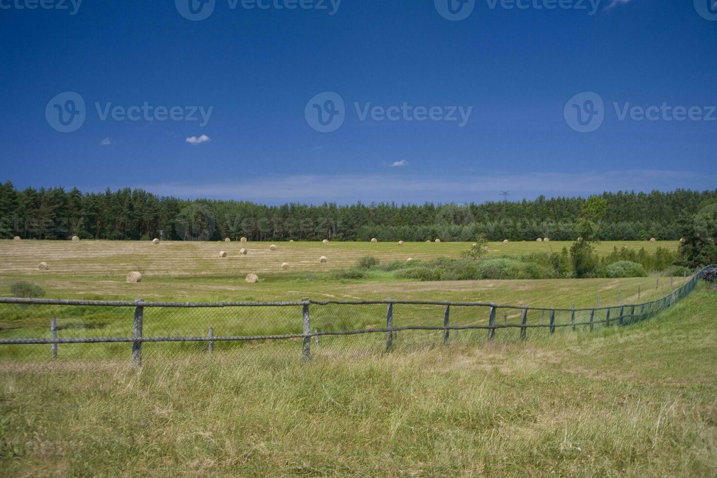 summer landscape poland photo