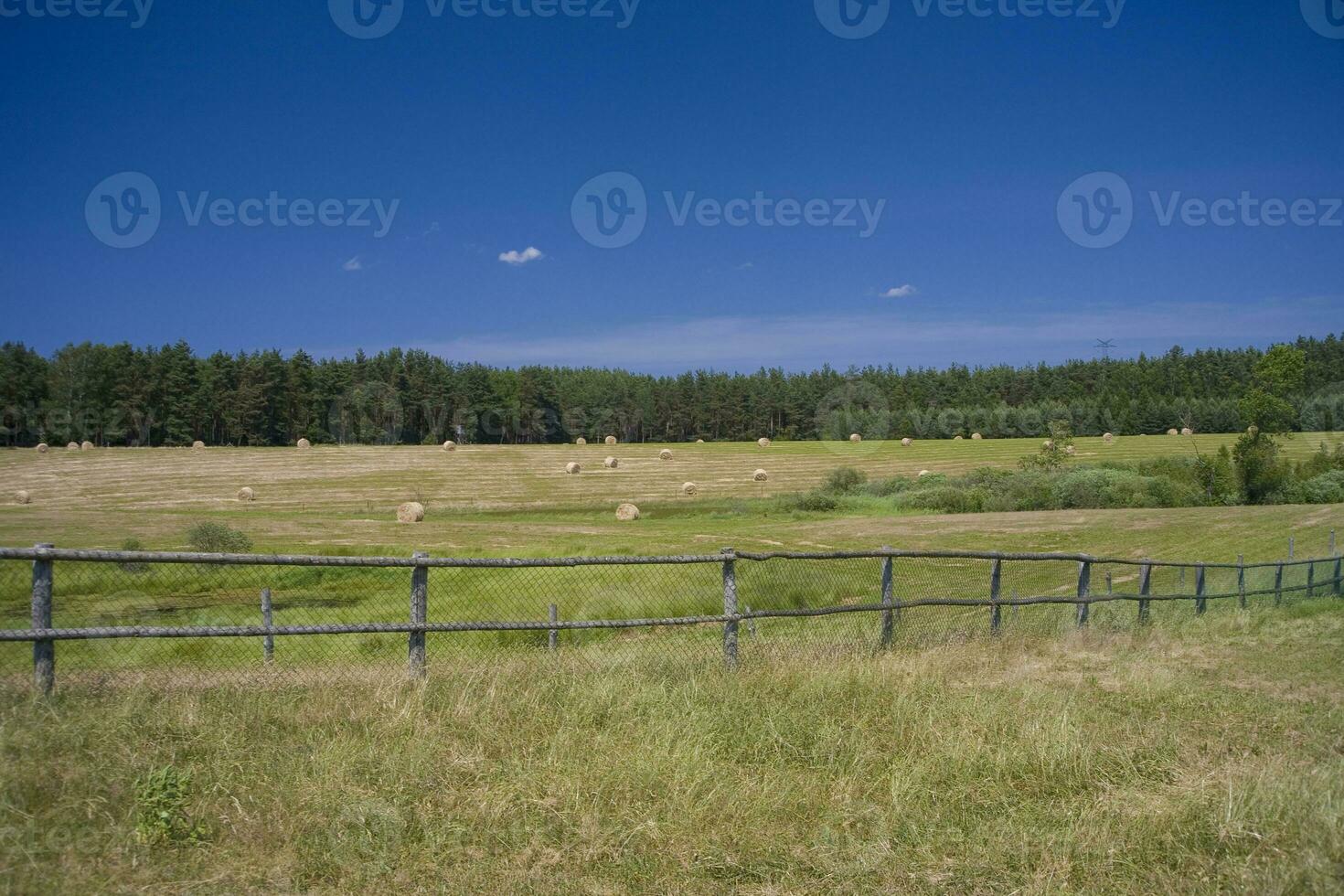 summer landscape poland photo