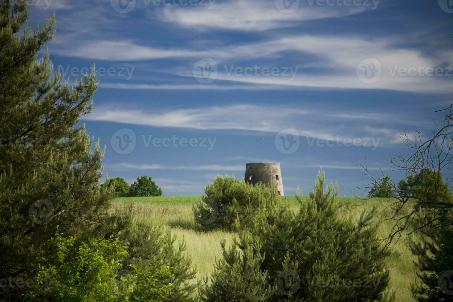 summer landscape poland photo