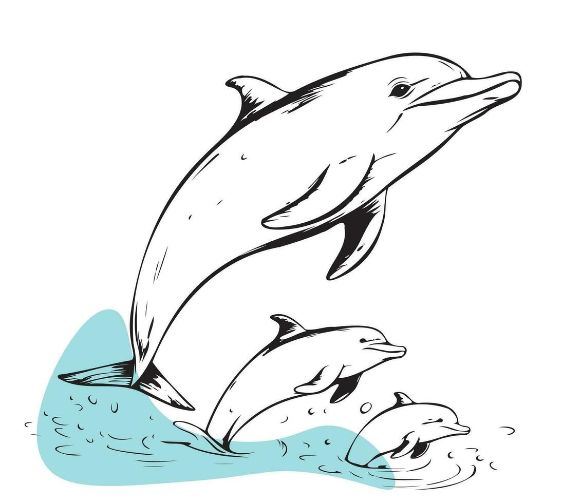 sketch dolphin family cartoon icon doodle jumping vector hand drawn on white board illustration