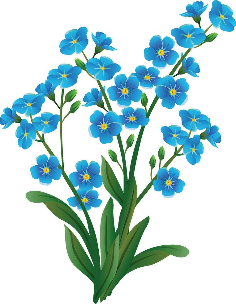 forget me not clip art illustration vector