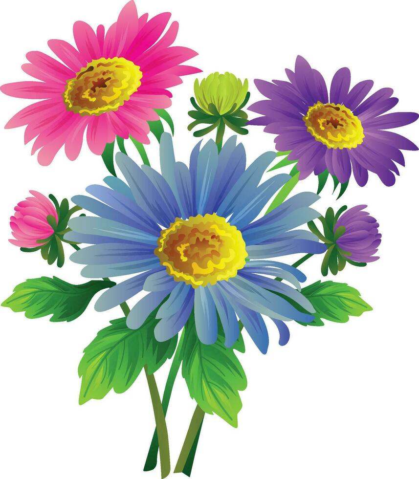 aster flower illustration vector