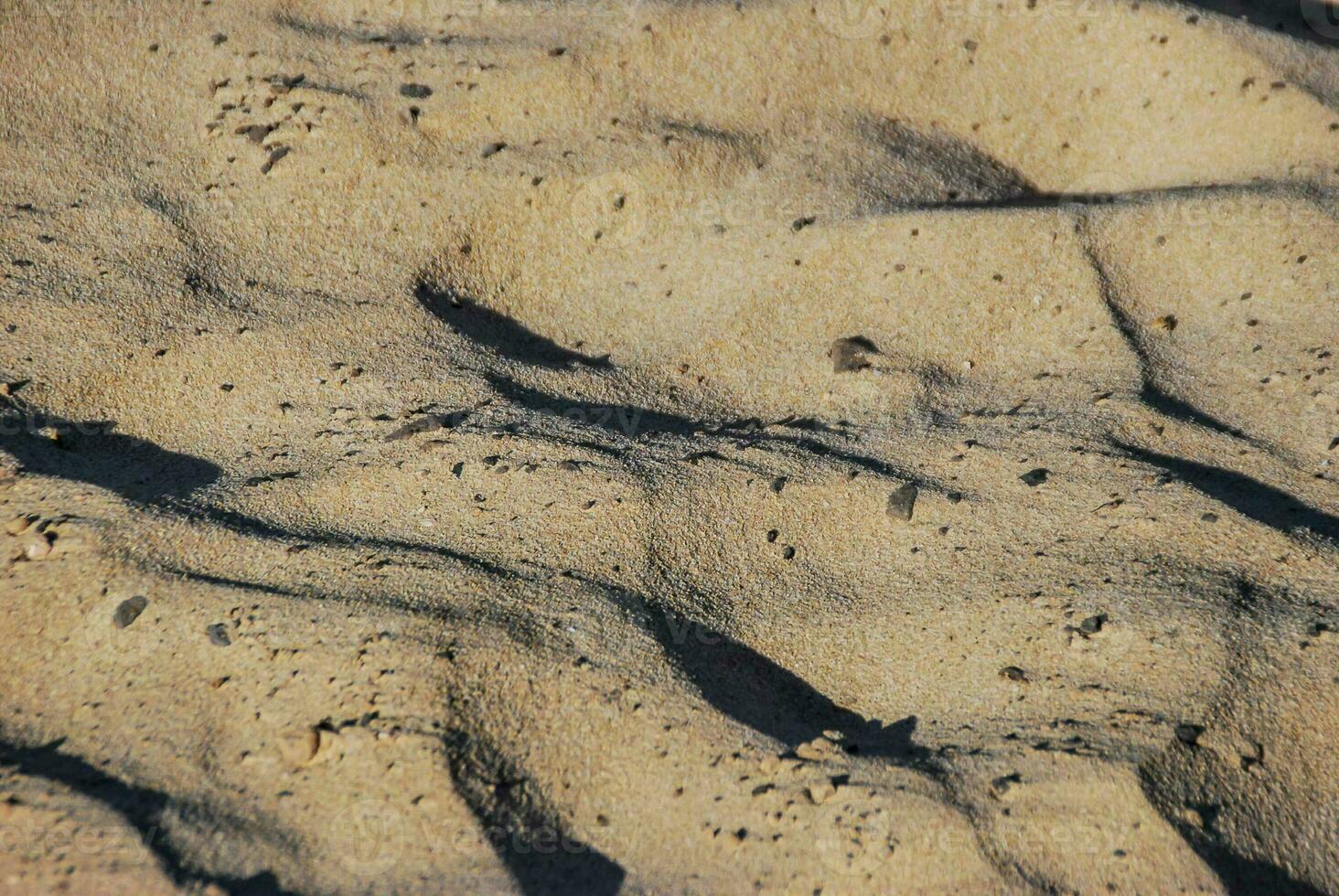 a bird is sitting on the sand in the sun photo