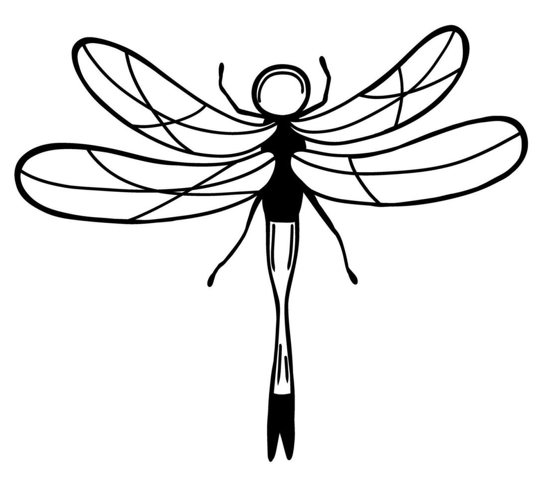 Dragonfly insect in doodle style vector