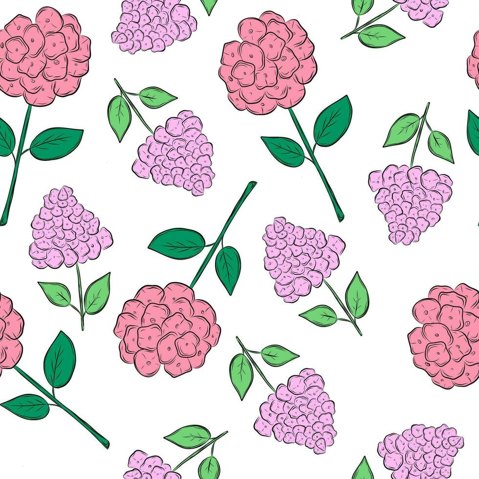 Hortensia flower pattern vector