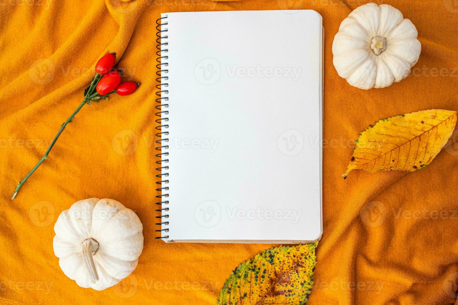 Blank notebook with space for text on textile yellow background with pumpkins and yellow foliage photo