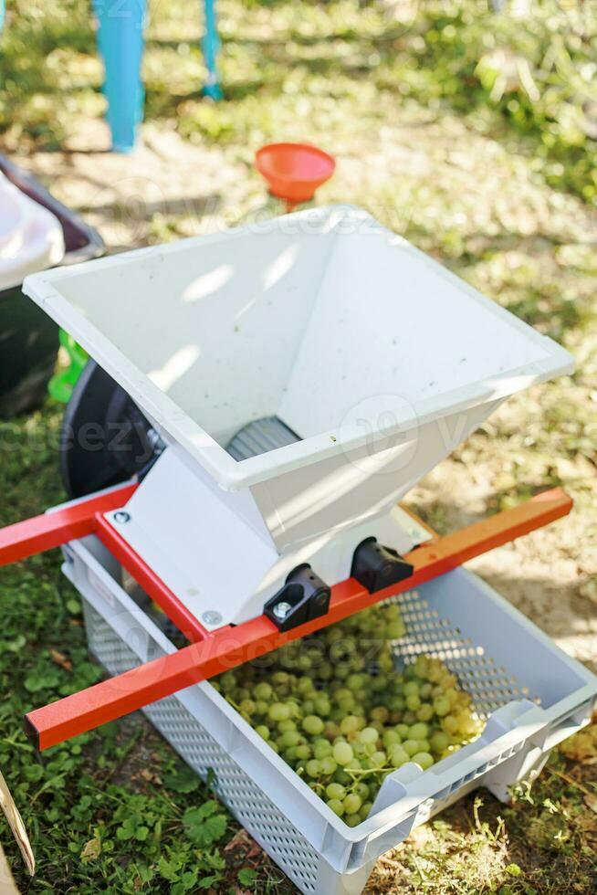 Mechanical juice for grapes. Making grape juice and wine at home. Business for duration of coronavirus quarantine. Winemaking. photo
