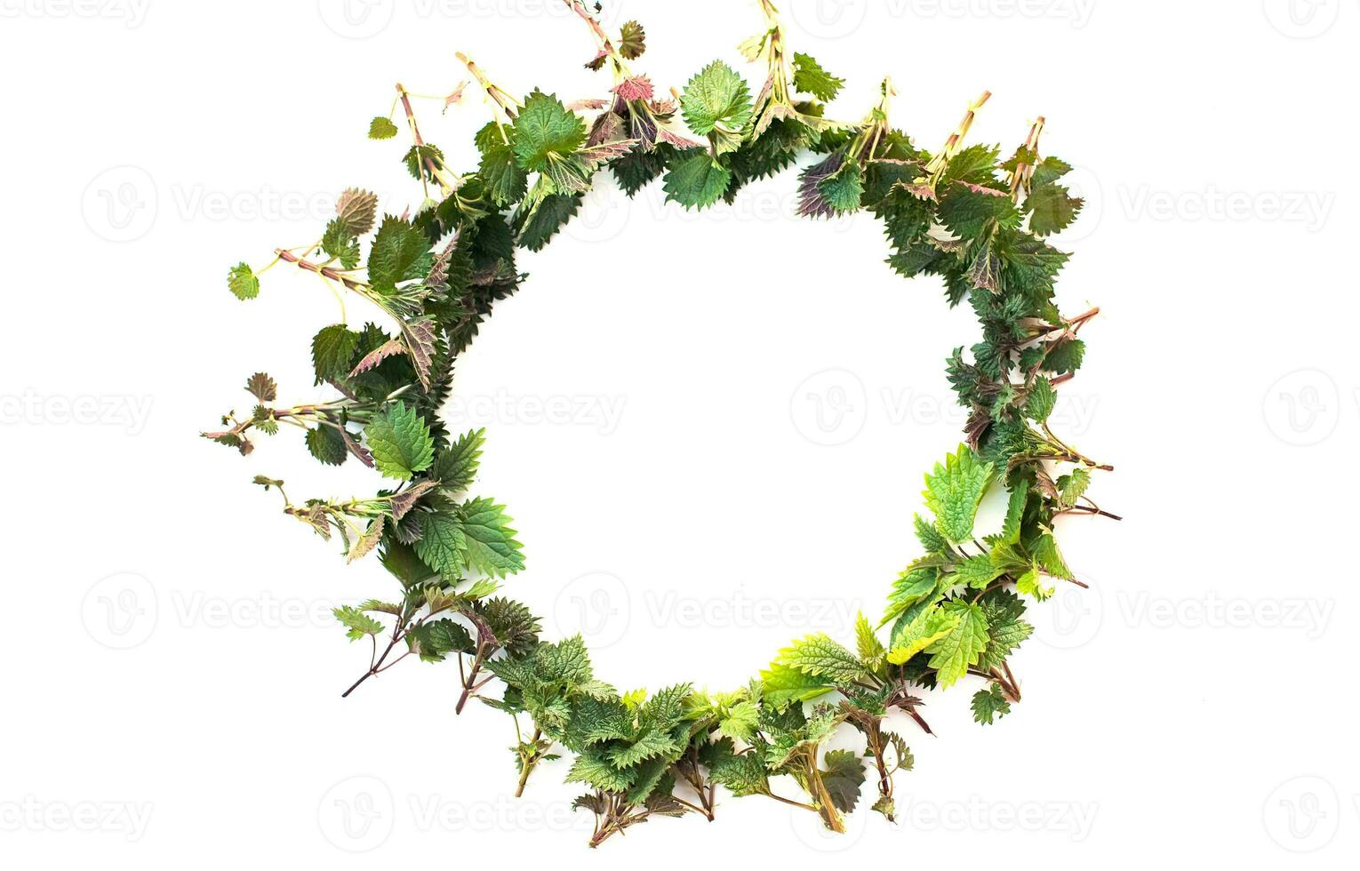 Round frame with branches and green leaves young nettle on on wooden white background. Leaf pattern. Flat lay, top view, copy space photo