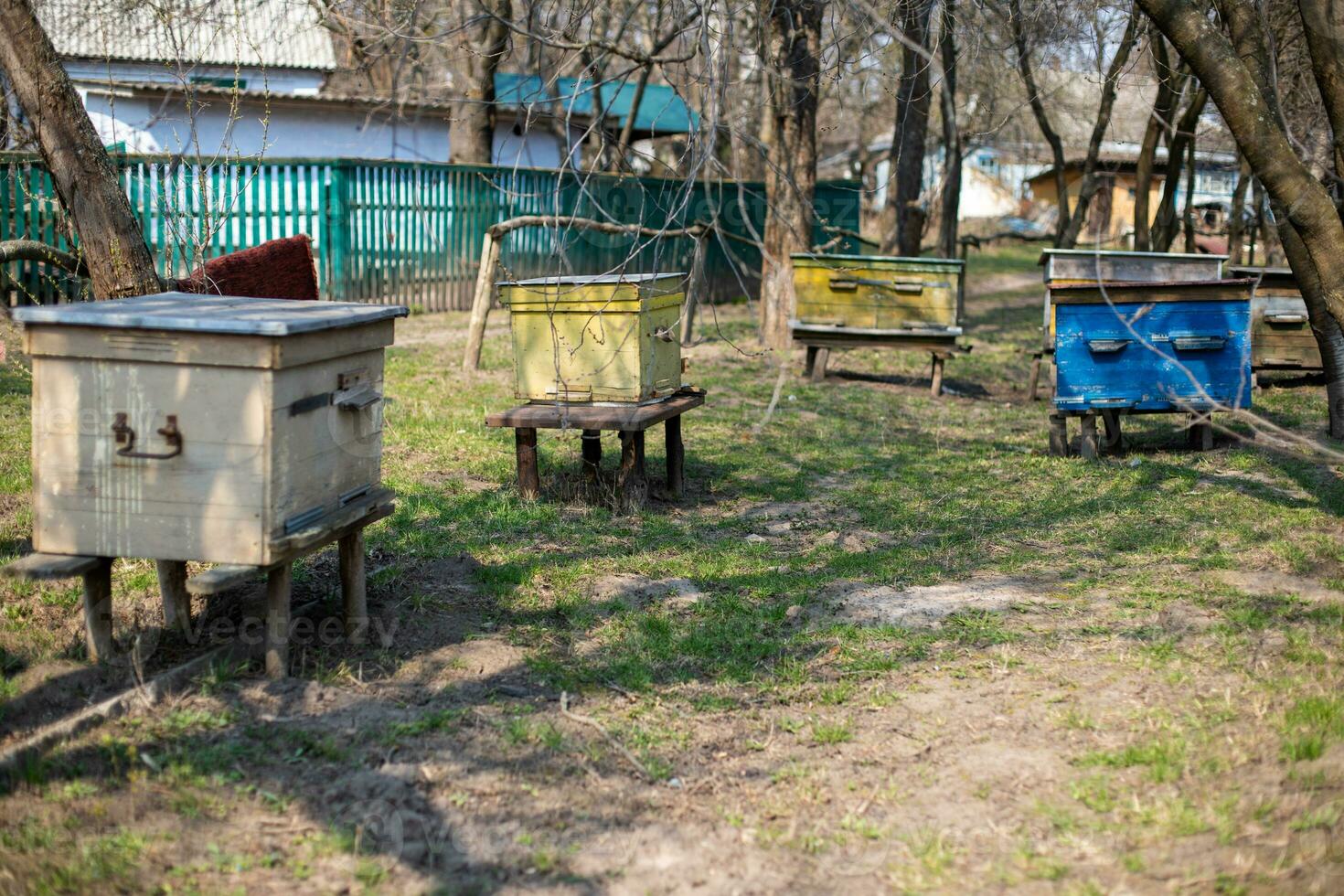 Closeup of bee hive alternative upper entrance. Bees returning from flight. photo