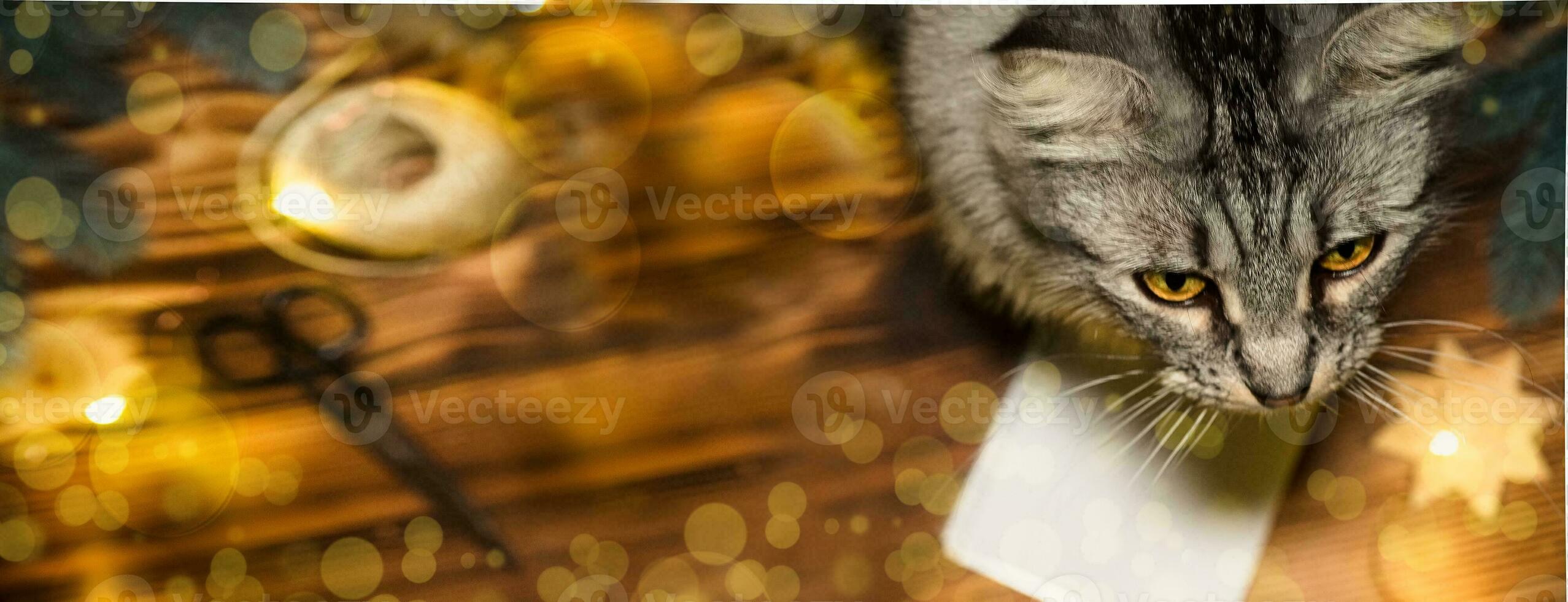 Cat looks up amid Christmas lights. Cat on table with tools for packing gifts for new year 2021 photo