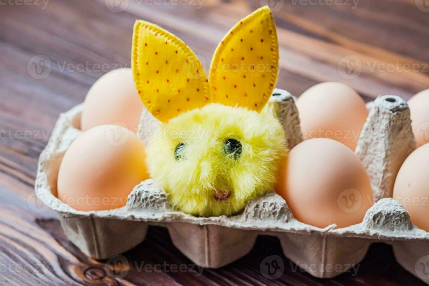 A small fluffy bunny next to the eggs in the egg tray for the Easter holiday photo
