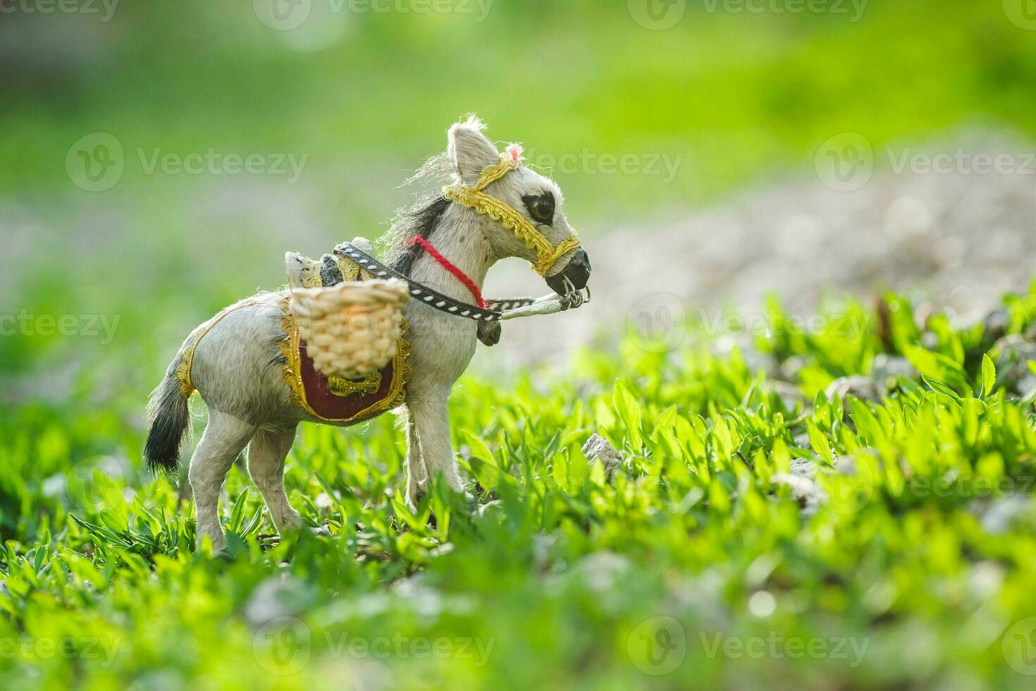 A donkey in a clearing of green grass. A loaded donkey on a green background. photo