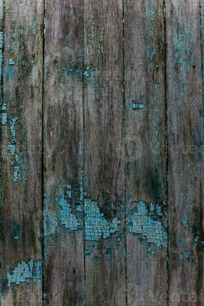 old fence with paint residues. Cracked blue paint photo