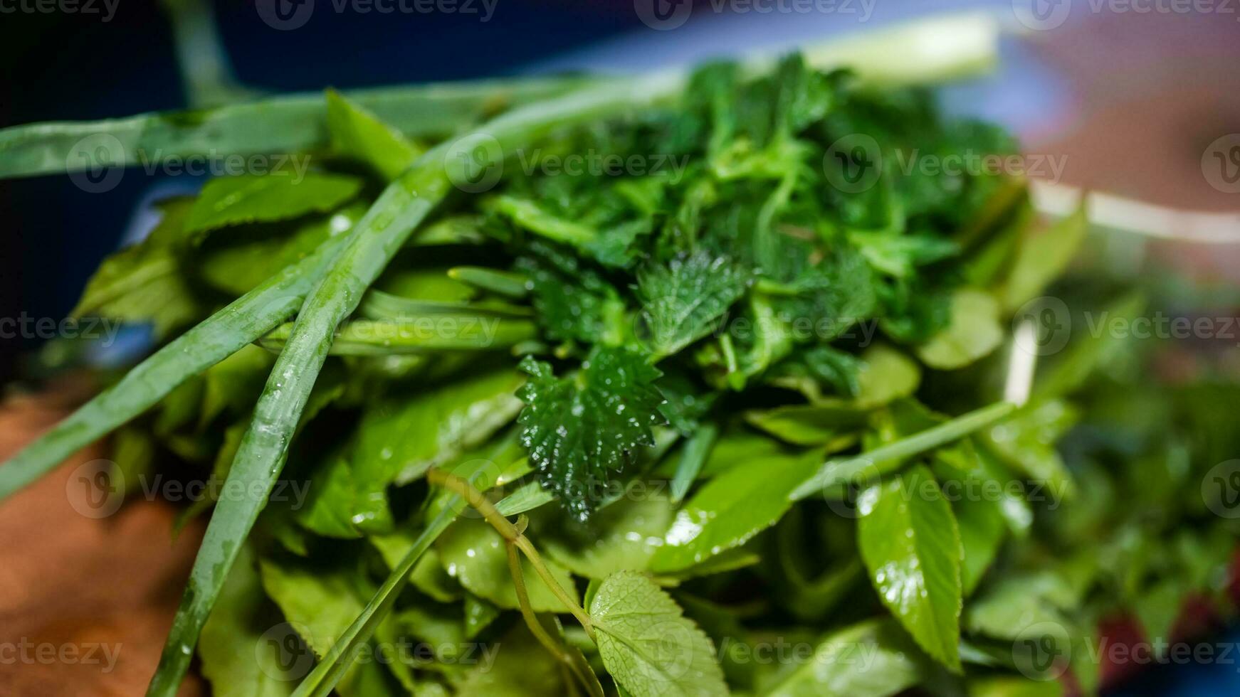 Vegetarian vitamin salad from first spring greens and wild herbs. Ingredients for home diet meal Aegopodium podagraria, Urtica dioica, Allium ursinum. Medicinal herb urtica dioica plant cooking food. Vegetarian vitamin salad from first spring greens and w photo