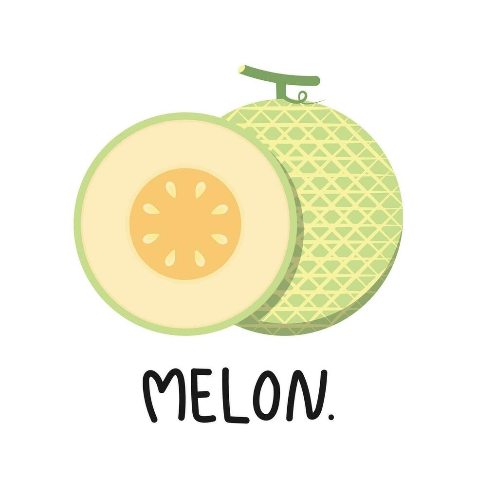 Melon vector. Melon on white background. symbol. logo design. vector