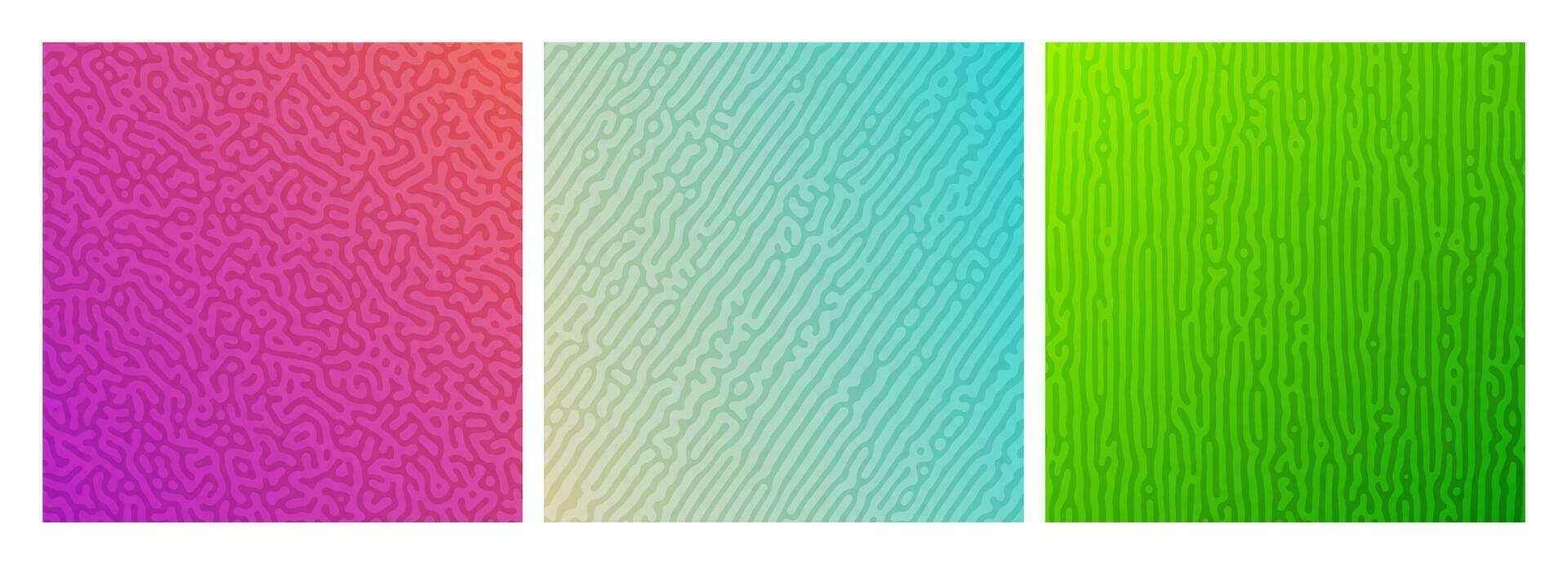 Set of three colorful turing reaction gradient backgrounds. Abstract diffusion pattern with chaotic shapes. Vector illustration.