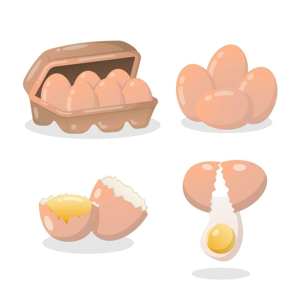 vector poultry eggs set of whole cracked row and fried eggs of chicken and quail isolated.