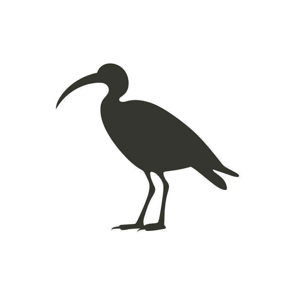 ibis pájaro icono en blanco antecedentes - sencillo vector ilustración