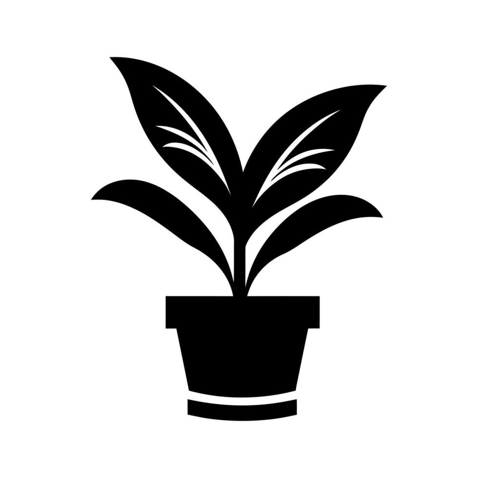 Dumb Cane plant Icon - Simple Vector Illustration