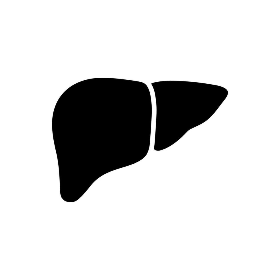 Liver icon on white background vector