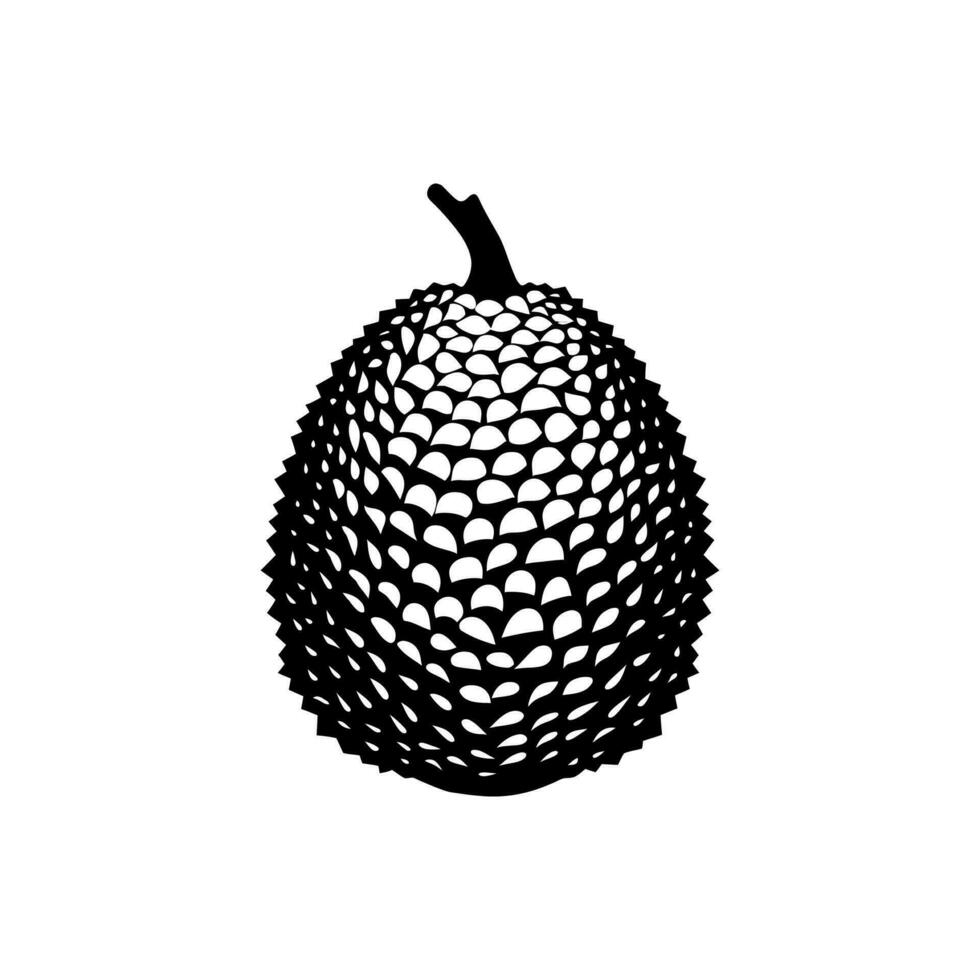 Jackfruit icon isolated on white background vector
