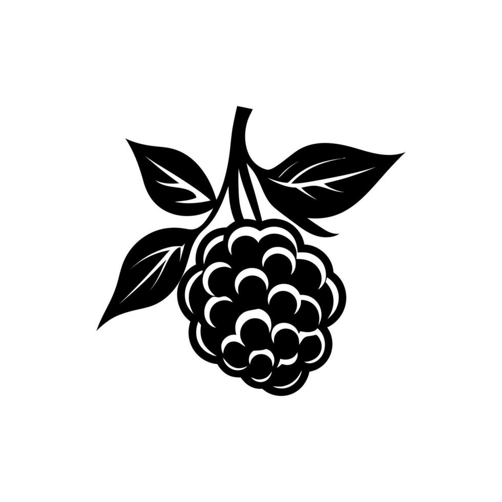 Blackberries with leaves icon isolated on white background vector