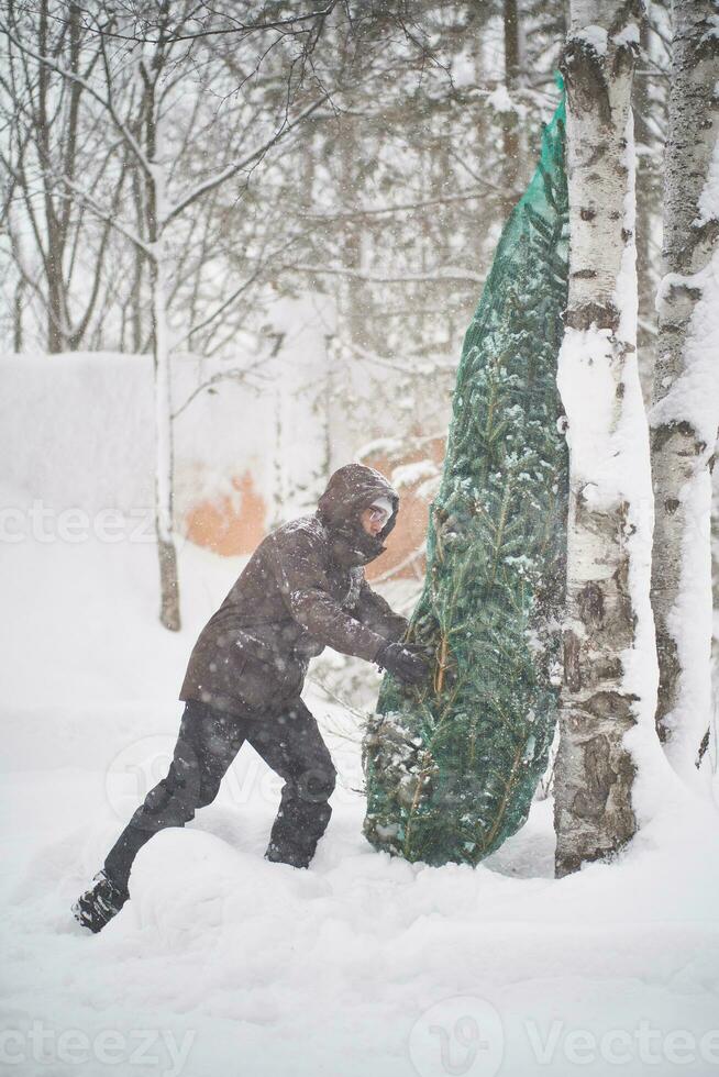 A man brought a Christmas tree into his yard during a snowstorm. photo