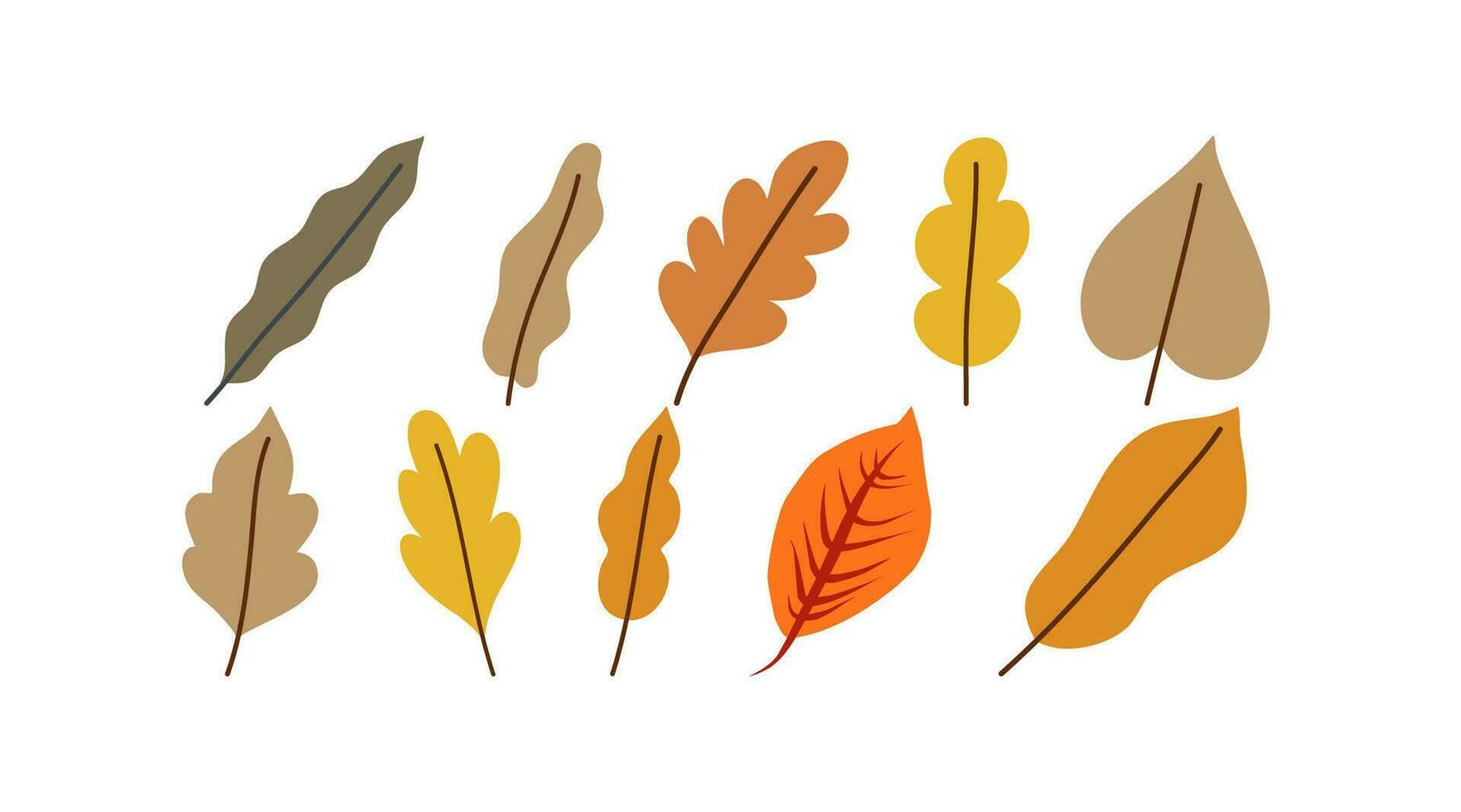 collection of autumn leaves , pattern vector